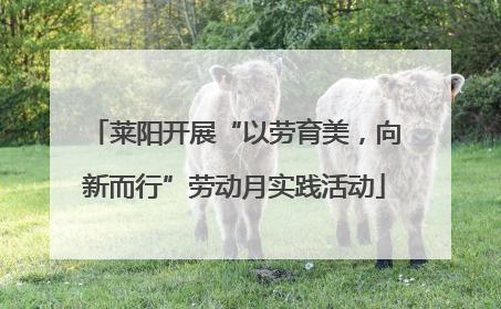 莱阳开展“以劳育美，向新而行”劳动月实践活动