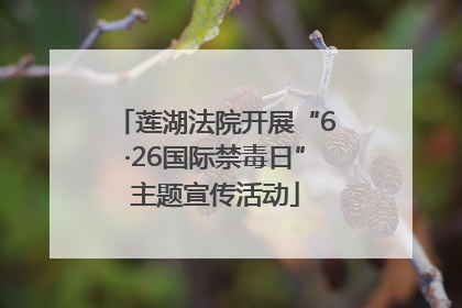 莲湖法院开展“6·26国际禁毒日”主题宣传活动