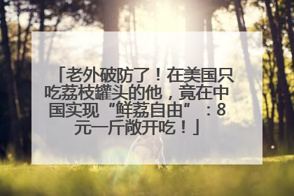 老外破防了！在美国只吃荔枝罐头的他，竟在中国实现“鲜荔自由”：8元一斤敞开吃！