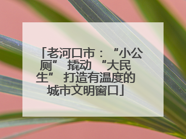 老河口市：“小公厕” 撬动 “大民生” 打造有温度的城市文明窗口