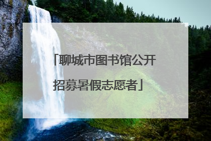 聊城市图书馆公开招募暑假志愿者