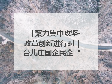 聚力集中攻坚·改革创新进行时｜台儿庄国企民企“联姻”记