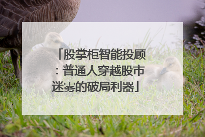 股掌柜智能投顾：普通人穿越股市迷雾的破局利器