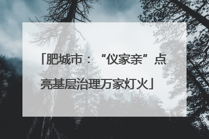 肥城市：“仪家亲”点亮基层治理万家灯火