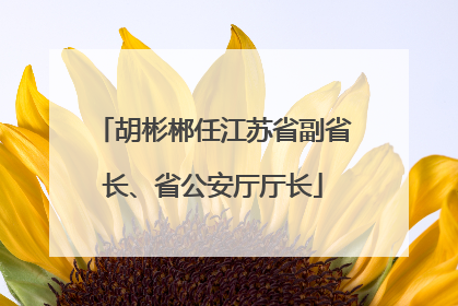 胡彬郴任江苏省副省长、省公安厅厅长
