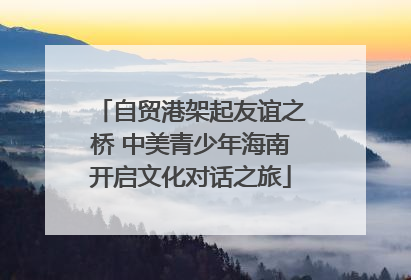 自贸港架起友谊之桥 中美青少年海南开启文化对话之旅
