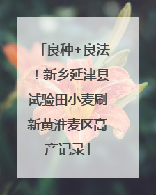 良种+良法！新乡延津县试验田小麦刷新黄淮麦区高产记录