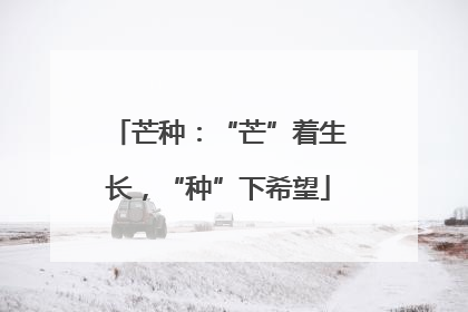 芒种：“芒”着生长，“种”下希望