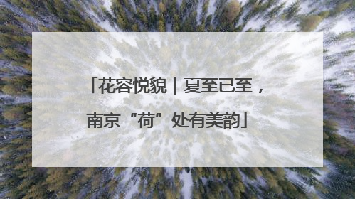 花容悦貌｜夏至已至，南京“荷”处有美韵