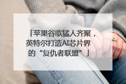 苹果谷歌猛人齐聚，英特尔打造AI芯片界的“复仇者联盟”