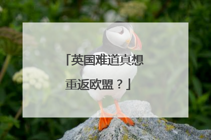 英国难道真想重返欧盟？