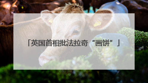 英国首相批法拉奇“画饼”