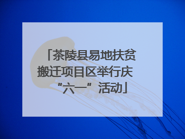 茶陵县易地扶贫搬迁项目区举行庆“六一”活动