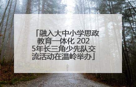 融入大中小学思政教育一体化 2025年长三角少先队交流活动在温岭举办