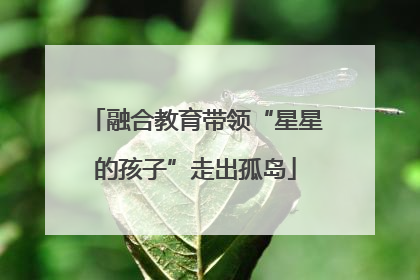 融合教育带领“星星的孩子”走出孤岛