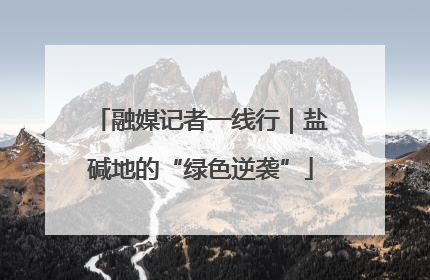 融媒记者一线行｜盐碱地的“绿色逆袭”