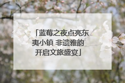 蓝莓之夜点亮东夷小镇 非遗雅韵开启文旅盛宴