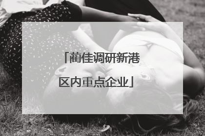 蔺佳调研新港区内重点企业
