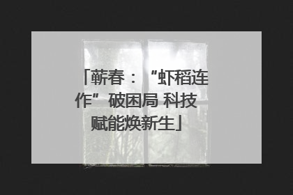 蕲春：“虾稻连作”破困局 科技赋能焕新生