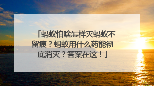 蚂蚁怕啥怎样灭蚂蚁不留痕？蚂蚁用什么药能彻底消灭？答案在这！