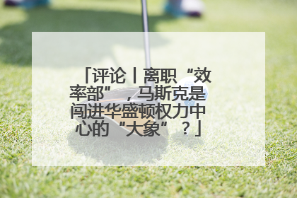 评论丨离职“效率部”，马斯克是闯进华盛顿权力中心的“大象”？