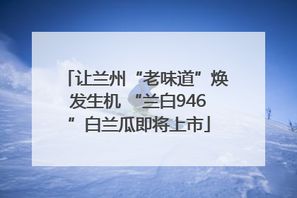 让兰州“老味道”焕发生机 “兰白946”白兰瓜即将上市