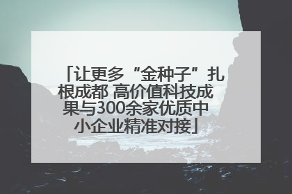 让更多“金种子”扎根成都 高价值科技成果与300余家优质中小企业精准对接