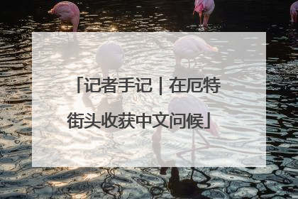 记者手记｜在厄特街头收获中文问候