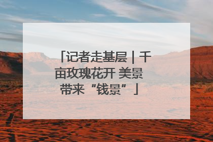 记者走基层｜千亩玫瑰花开 美景带来“钱景”
