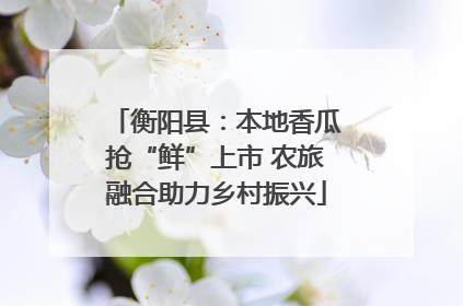 衡阳县：本地香瓜抢“鲜”上市 农旅融合助力乡村振兴