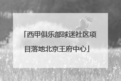 西甲俱乐部球迷社区项目落地北京王府中心