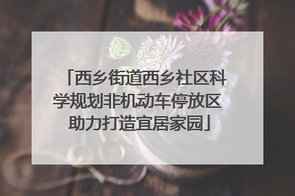 西乡街道西乡社区科学规划非机动车停放区 助力打造宜居家园