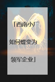 西南小厂如何蝶变为领军企业