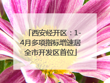 西安经开区：1-4月多项指标增速居全市开发区首位