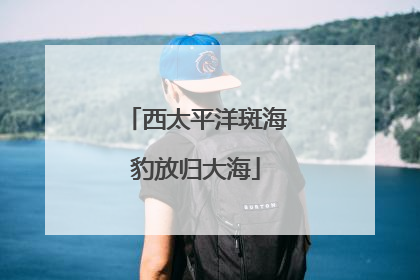 西太平洋斑海豹放归大海