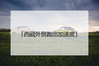 西藏外贸跑出加速度