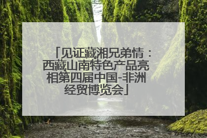 见证藏湘兄弟情：西藏山南特色产品亮相第四届中国-非洲经贸博览会