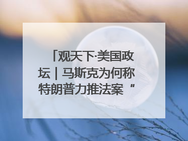 观天下·美国政坛｜马斯克为何称特朗普力推法案“令人作呕”