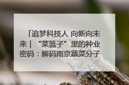 追梦科技人 向新向未来｜“菜篮子”里的种业密码：解码南京蔬菜分子育种的创新之路