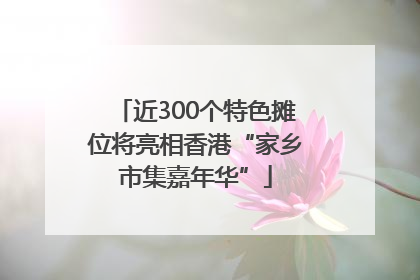 近300个特色摊位将亮相香港“家乡市集嘉年华”