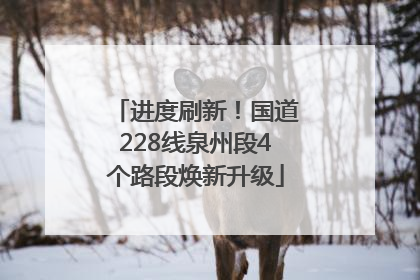 进度刷新！国道228线泉州段4个路段焕新升级