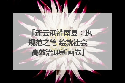 连云港灌南县：执规范之笔 绘就社会高效治理新画卷