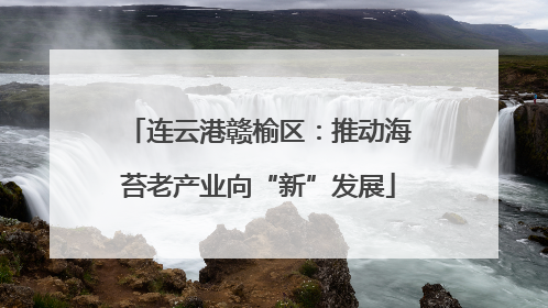 连云港赣榆区：推动海苔老产业向“新”发展