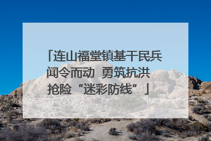连山福堂镇基干民兵闻令而动  勇筑抗洪抢险“迷彩防线”