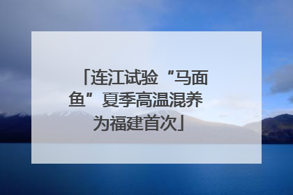 连江试验“马面鱼”夏季高温混养 为福建首次