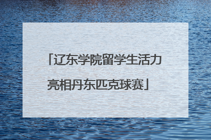 辽东学院留学生活力亮相丹东匹克球赛