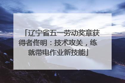辽宁省五一劳动奖章获得者佟明：技术攻关，练就带电作业新技能
