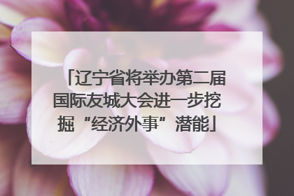 辽宁省将举办第二届国际友城大会进一步挖掘“经济外事”潜能