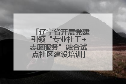 辽宁省开展党建引领“专业社工+志愿服务”融合试点社区建设培训