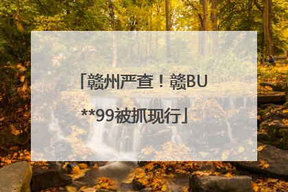 赣州严查！赣BU**99被抓现行